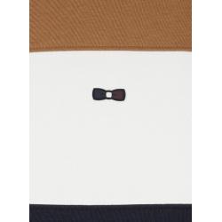 Sweatshirt zippé colorblock en coton mélangé camel coupe Regular