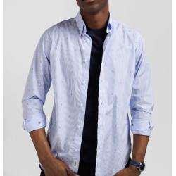 Chemise en coton ciel coupe Regular