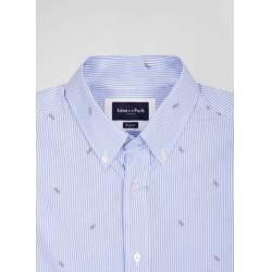 Chemise en coton ciel coupe Regular