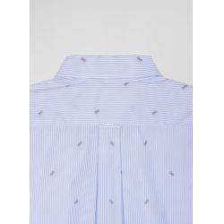 Chemise en coton ciel coupe Regular